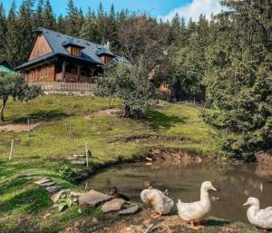 Statek U Rajmunda zemědělská farma