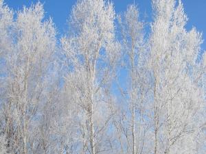 Pension Hoshi Ni Negaiwo