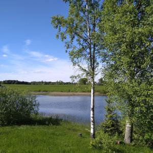 Pähnamäe metsamajake