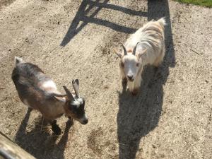 3 Bed Cottage-Sleeps 6-Garden-Hot Tub-Games Room