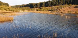 Star Dam Estate - Tranquil Cottage