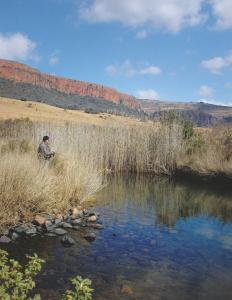 Star Dam Estate - Tranquil Cottage