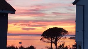 Apartments Jungic, Rab