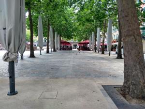 B&B / Chambres d'hotes Number15 Guesthouse Carcassonne : photos des chambres