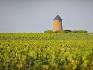 Maisons de vacances Gite Clisson, 2 pieces, 3 personnes - FR-1-306-900 : photos des chambres