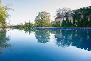Greetoe Camp Panna