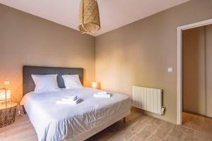 Appartements Le Louis Pasteur 3 PREMIUM : photos des chambres