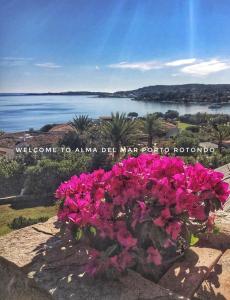 Alma Del Mar Porto Rotondo