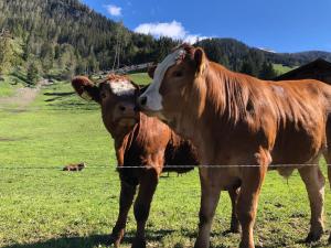 Veronika Appartements