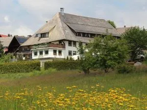 维森格伦德膳食公寓酒店 - 圣布拉辛