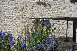 Maisons de vacances Le Moulin de Charzay, eco-gite familial en Deux-Sevres, Nouvelle Aquitaine : photos des chambres