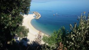 loft sul mare Sirolo