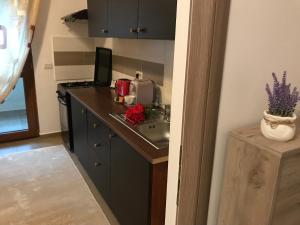 Eli’s Apartament