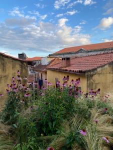 My Little Porto - Charming house in Miragaia, Porto