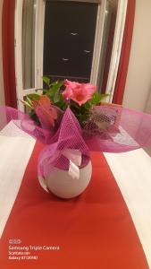 Il paradiso sopra le nuvole