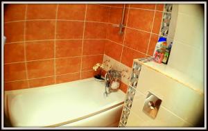 Apartment In the heart of Sunny Beach close to the Sea and the Beach