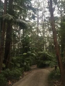 春溪山区小屋旅馆 - Upper Tallebudgera