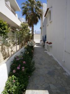 Amfi Apartments Kos Greece