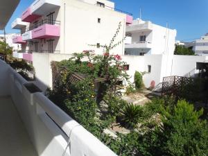 Amfi Apartments Kos Greece