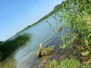 K 357 - Low budget Hotel in Ratekau bei Lübeck