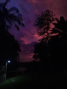 Cabañas alto del aguila