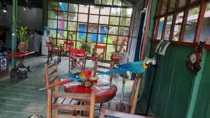 Cabañas alto del aguila - 莱蒂西亚