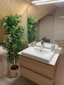 Ático Dúplex reformado con vistas a la montaña