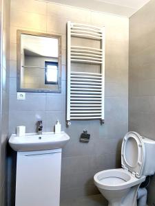 Cottage Near Didveli, Bakuriani - котедж в Бакуриани