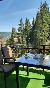 Apartman 2 Zlaja Vlašić - 特拉夫尼克