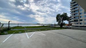 Myosotis Mamaia by the Lake