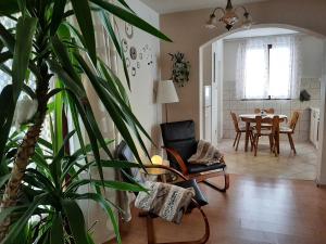 Apartment Zora - Guest house