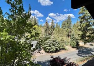 Three-Bedroom House room in Rustic Bear Retreat