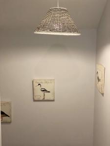 Appartements Appartement du Centre : photos des chambres