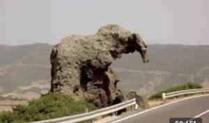 Appartamento residence Tartaruga 3 img42