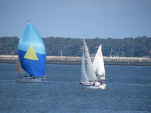 Appartements Appartement du Centre : Appartement 2 Chambres