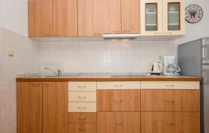 Apartments Halovic 