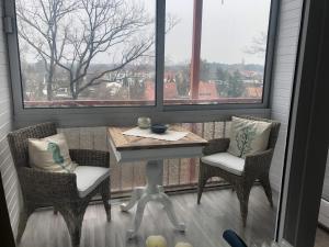 Heimathafen-Steinhude