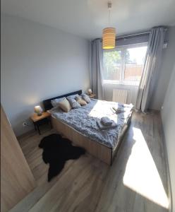 Cozy Apartment Gdynia