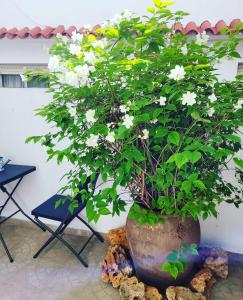 ALOJAMIENTO RURAL LOS MOLINOS