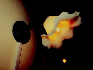 Cabañas Brisas Alto Boquete