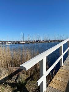 Glück am Meer