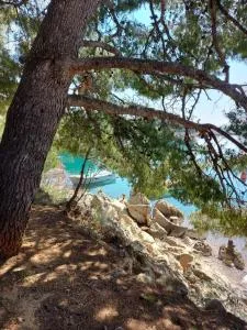 Apartment Ante and Dijana - Punta