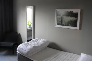 Single Room room in De la Gardie Park Vandrarhem Hostel