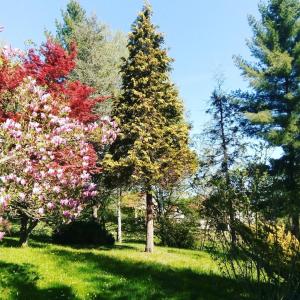 Takovo - odmor u selu