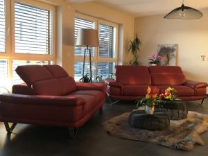 Maison d hotes Coeur de Village Alsace & spa