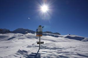 Appartements Au pied des pistes Appart 4 ou 5 pers SUPERDEVOLUY : photos des chambres