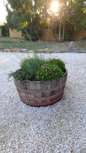 Casa vacanze Olbia - ALEBEA - img22