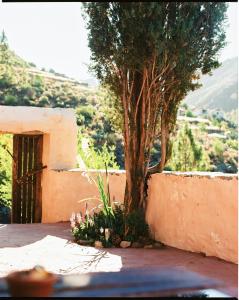 Casa Rural Lomito del Pino