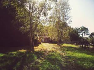 Sejours chez l'habitant 2 Coeurs 2 Landes : photos des chambres