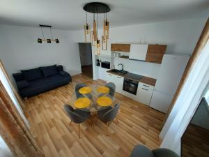 Panoramic Apartments Oradea